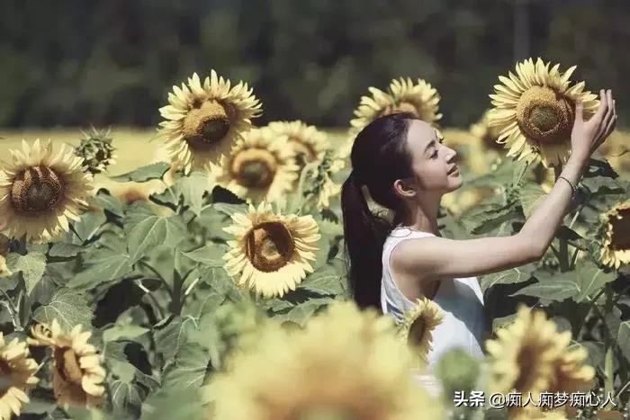 中国好同学什么意思？：何同学年收入或千万