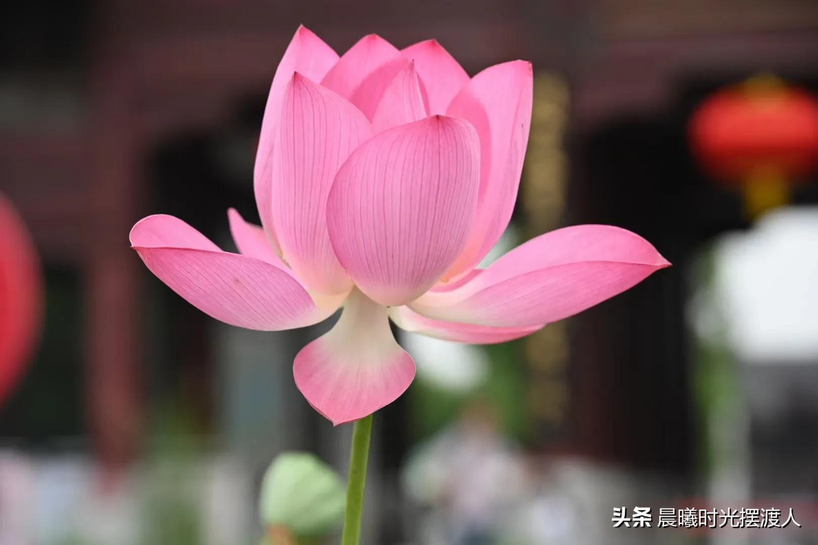 婚姻登记中心进复旦