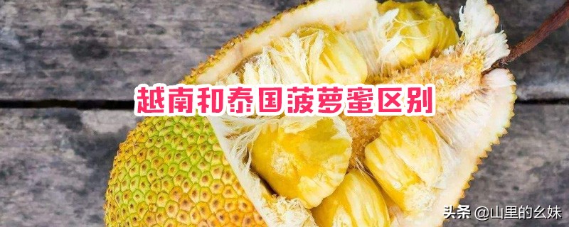 海口双红色预警（海南红色暴雨预警停课吗？）