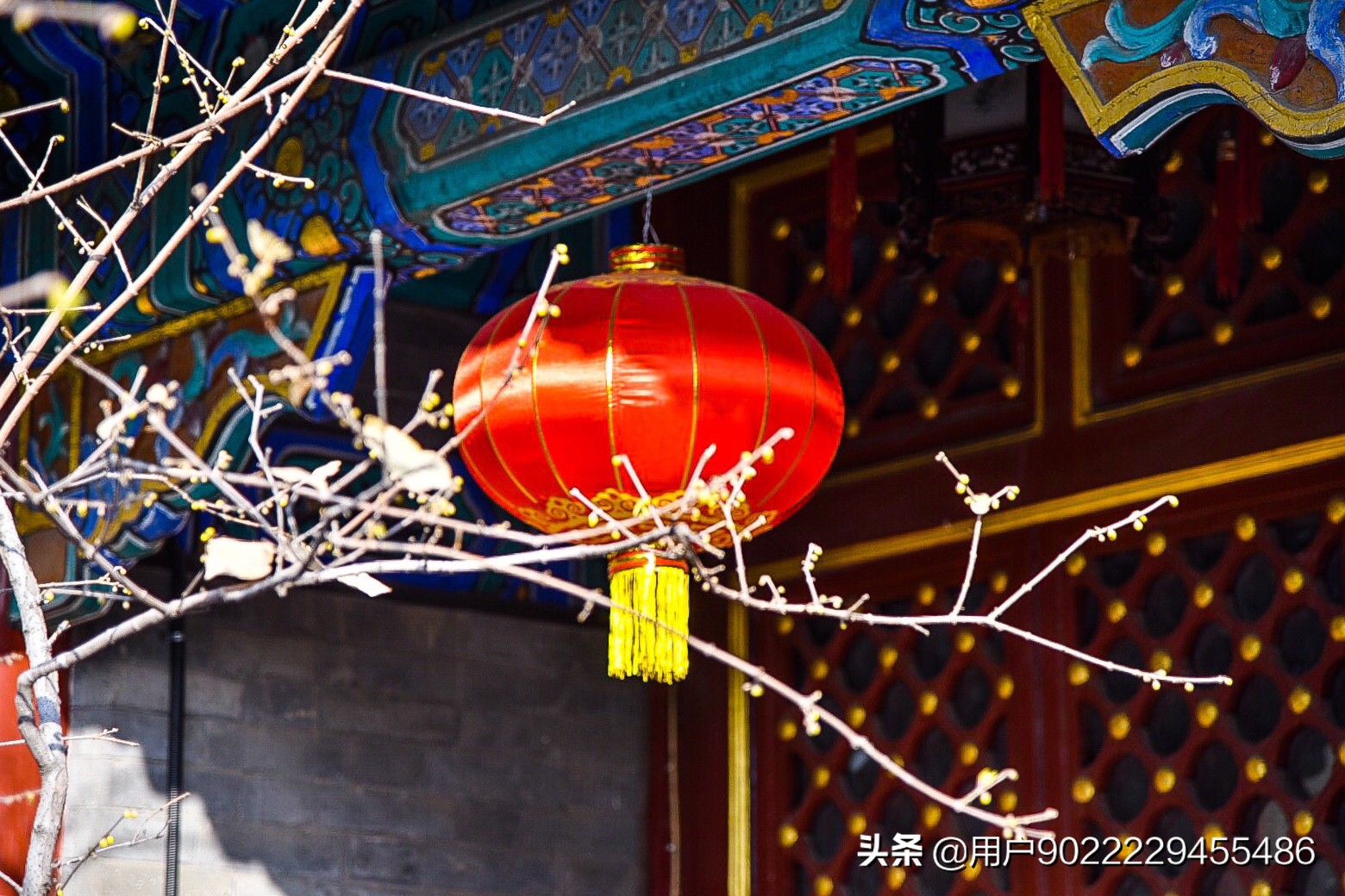护士300秒极限救人（泗洪女护士街头救人，被救者醒来后表感谢, 你怎么看？）