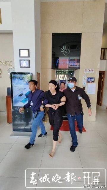 金教授讲海外生活，金教授讲海外生活视频