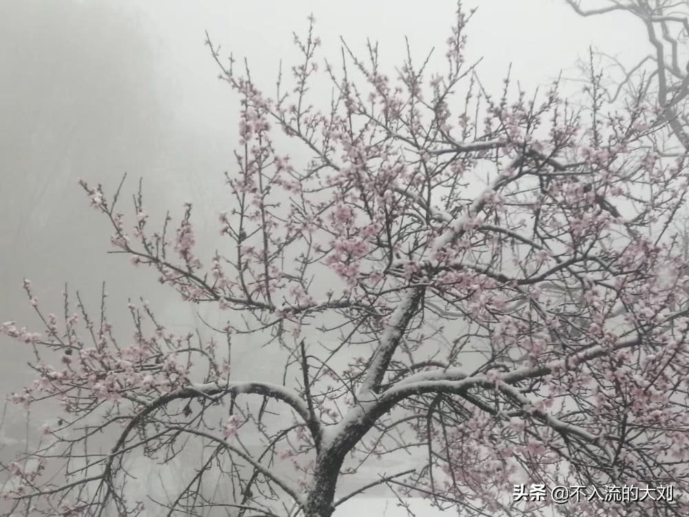 今天河南怎么样