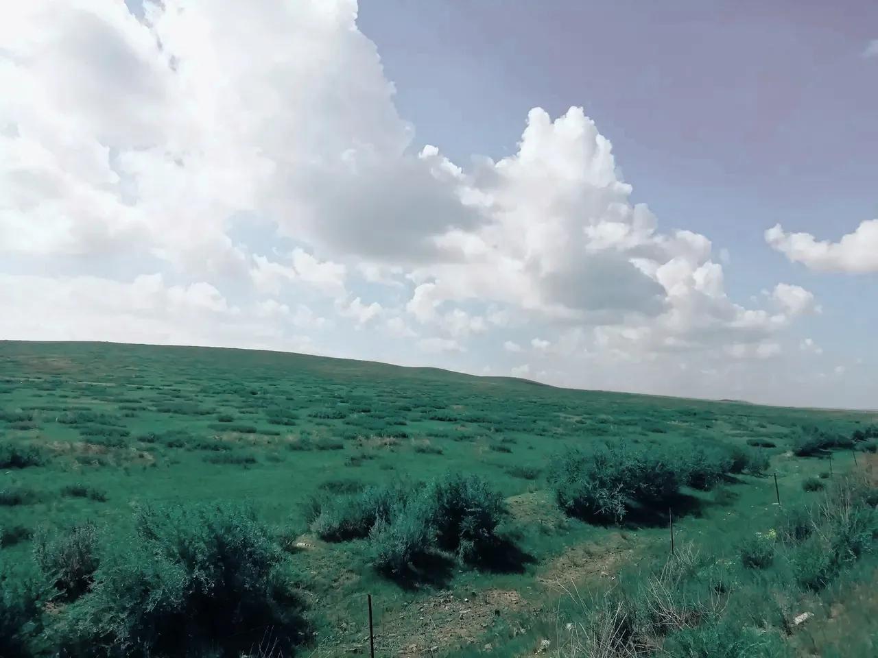 [怎么才能让]怎么才能让自己变的乐观，开朗，没有烦恼？