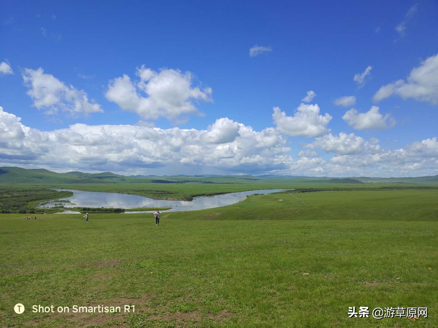 女生发树的图片意思?:草原照片 女生发树的图片意思?:草原照片