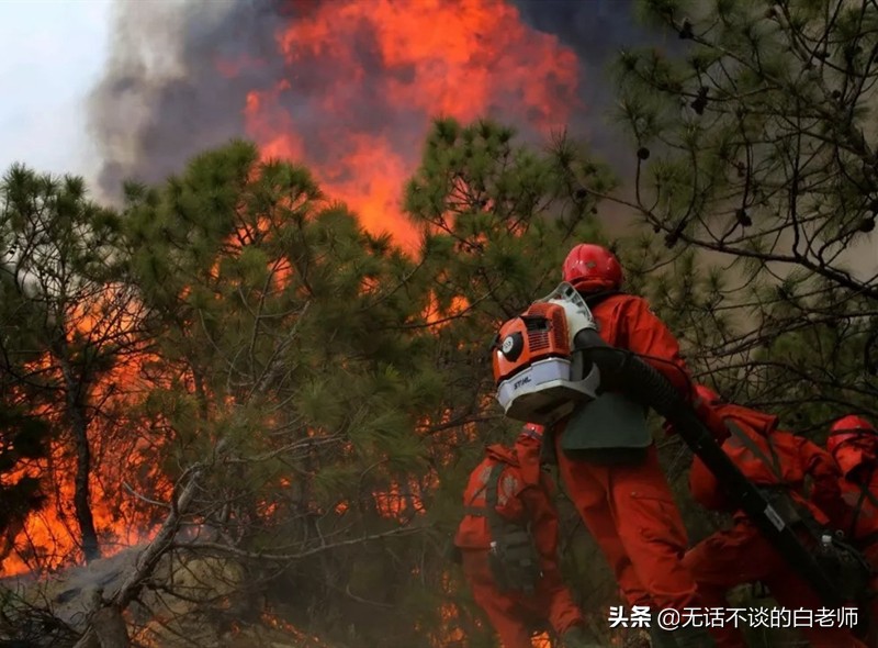 凉山州少儿保险电话查询，凉山州少儿保险电话查询号码