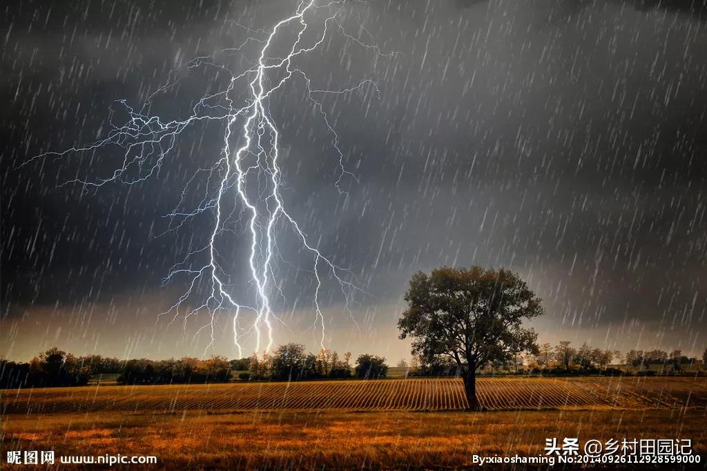 高温暴雨强对流3预警（暴雨预警连续发出！河南、山东、山西等地有大暴雨，你怎么看？）