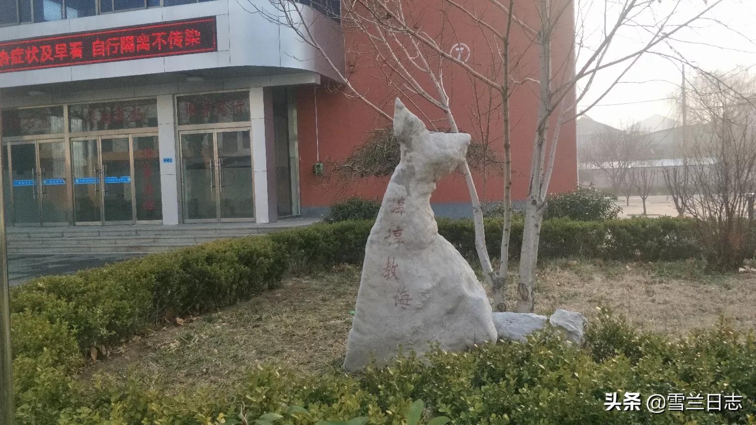 怎样上网学习课堂上的知识，如何有效上网课