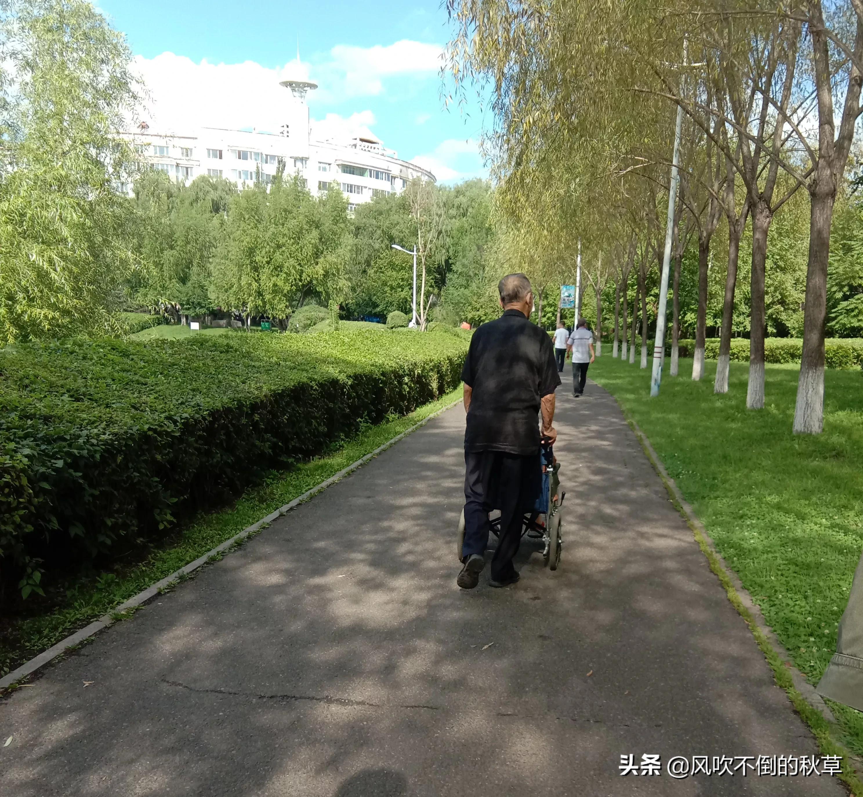 当我们都老了(当我们都老了,回看今生,你后悔吗?) 当我们都老了(当我们都老了,回看今生,你后悔吗?)