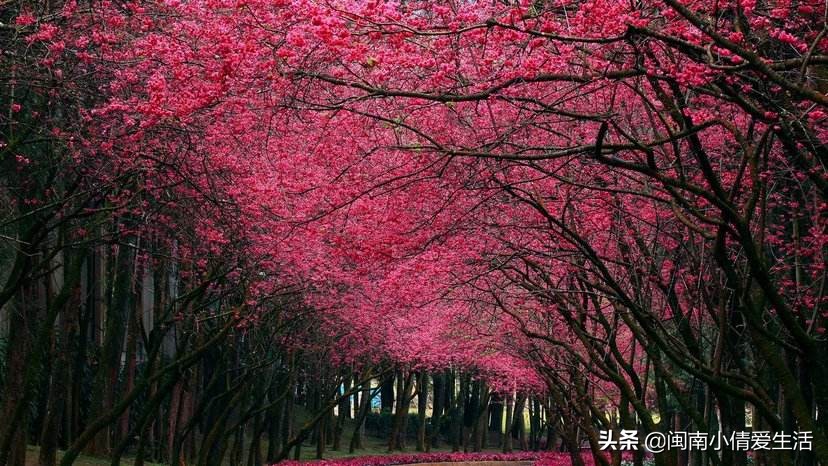 初学者怎样做直播赚钱（抖音直播新手一般可以赚多少钱？）