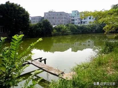 天津荷塘区发展怎么样