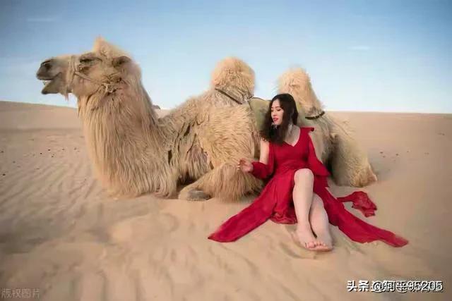 庆祝建党100周年内容？：党的图片