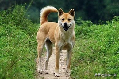 能把(人流完之后子宫里面还有2厘米的血块清宫能清干净吗?) 能把(人流完之后子宫里面还有2厘米的血块清宫能清干净吗?)