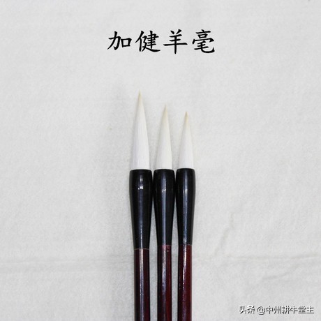 正楷带点草书字体怎么写