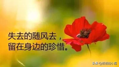 三十岁以后的单身女人，是不是比男人更需要爱，更坚信爱是美好的东西？：单身美好