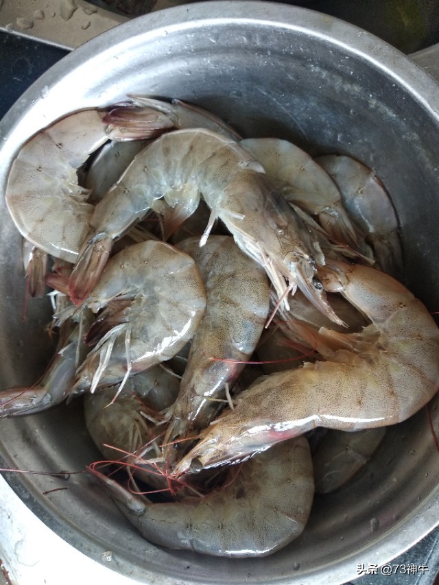 海外生活 抓海鲜视频，海外生活 抓海鲜视频大全