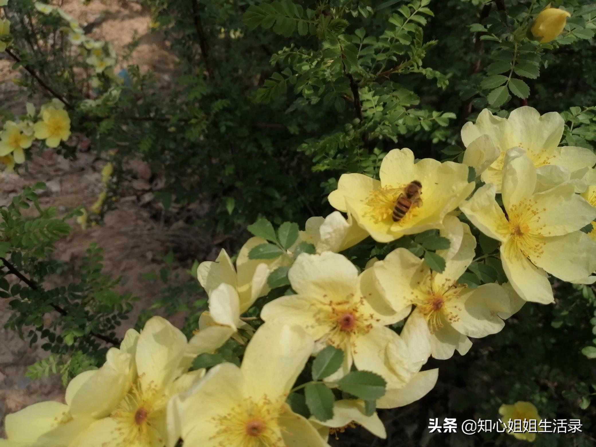 [怎么才能让]怎么才能让自己变的乐观，开朗，没有烦恼？