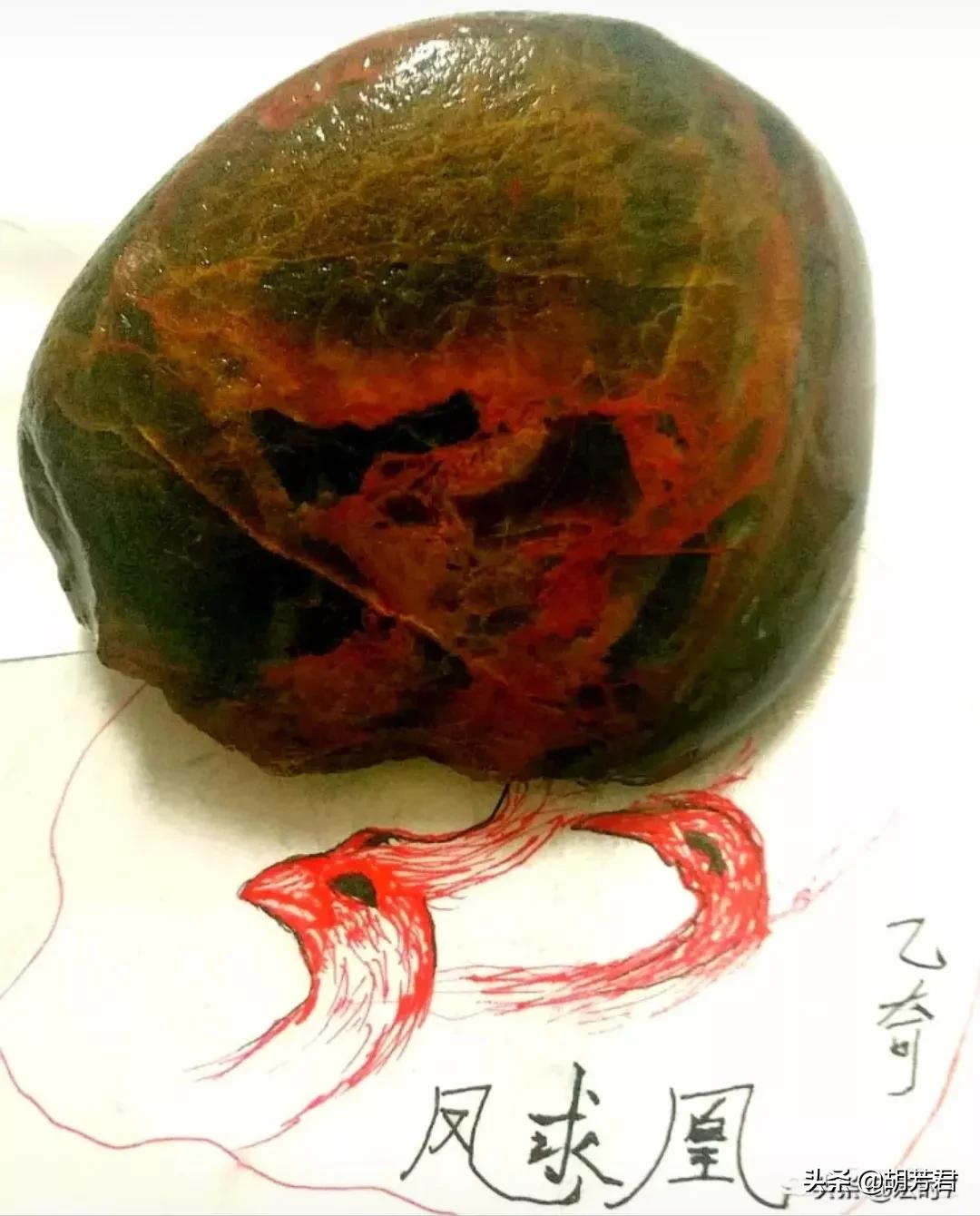 重生海外生活的小说，重生海外生活的小说推荐