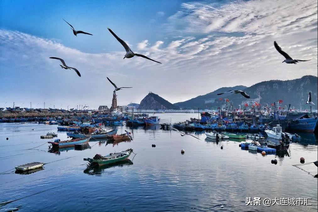 辽宁省大连市哪个市的