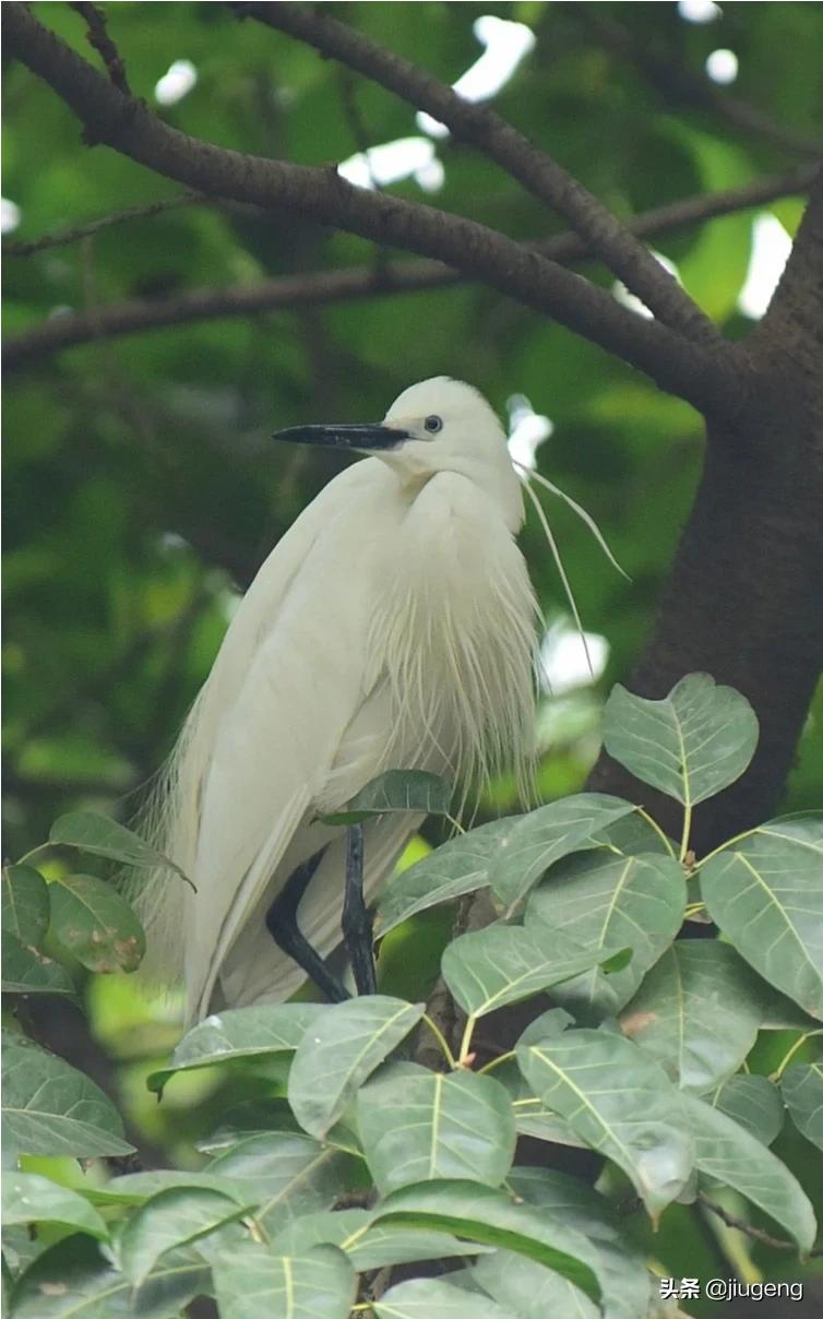 [图片修复]不想要的照片怎么处理最好？