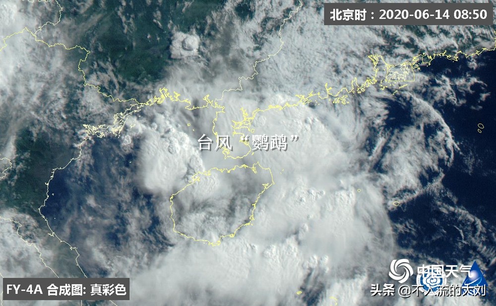 台风“鹦鹉”登陆广东阳江，专家称这是一个“好台风”为什么？：台风今天登陆广东