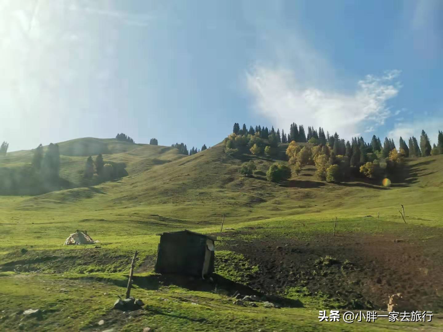 天津新疆哪个好玩 天津新疆哪个好玩