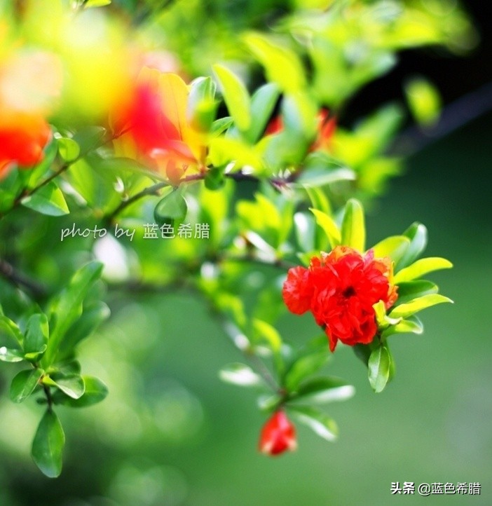 定焦头定焦头和变焦头的区别