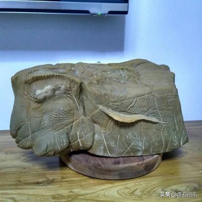 [遥三火箭发射失利]长征五号遥二火箭发射失利是什么意思？