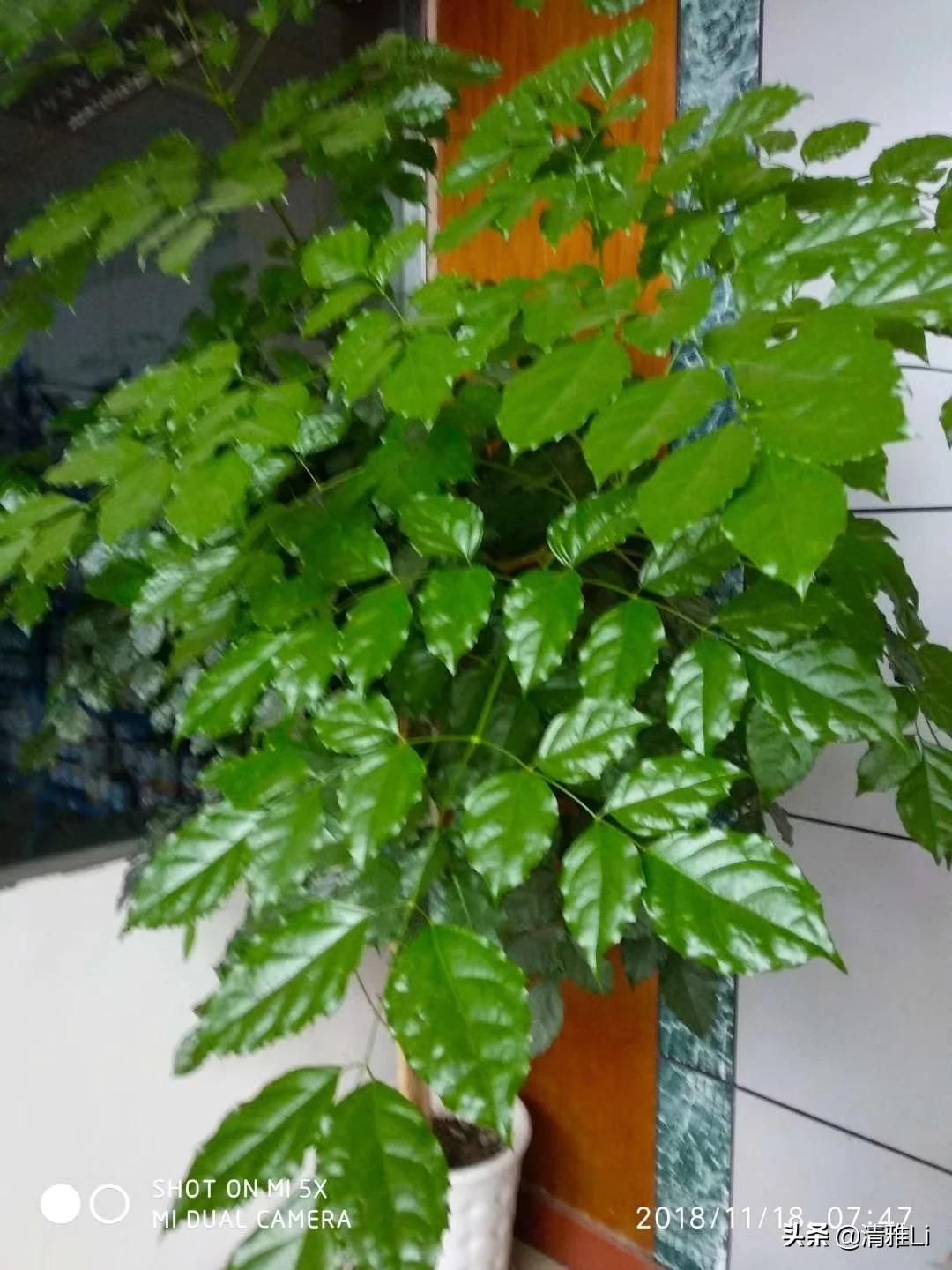 [怎么才能让]怎么才能让自己变的乐观，开朗，没有烦恼？