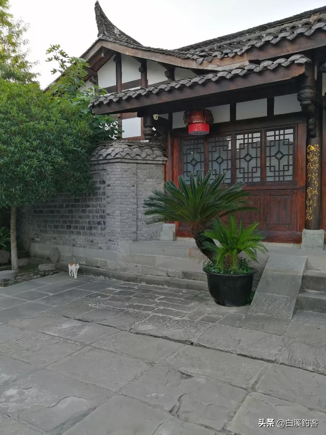 街头随拍海外生活视频素材，外国街头视频