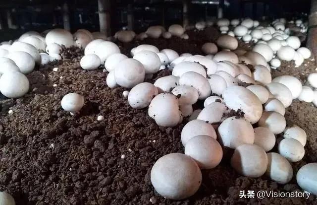 考研上夜班时间安排 （考研班晚上上课时间）
