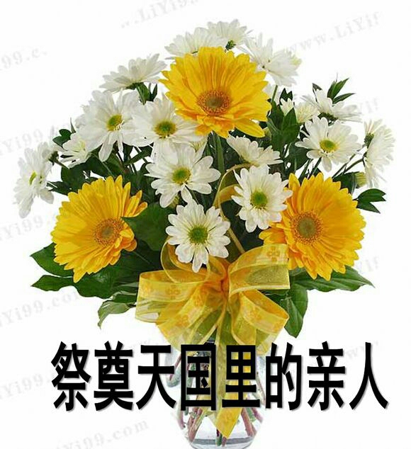 相片处理相片处理免费软件