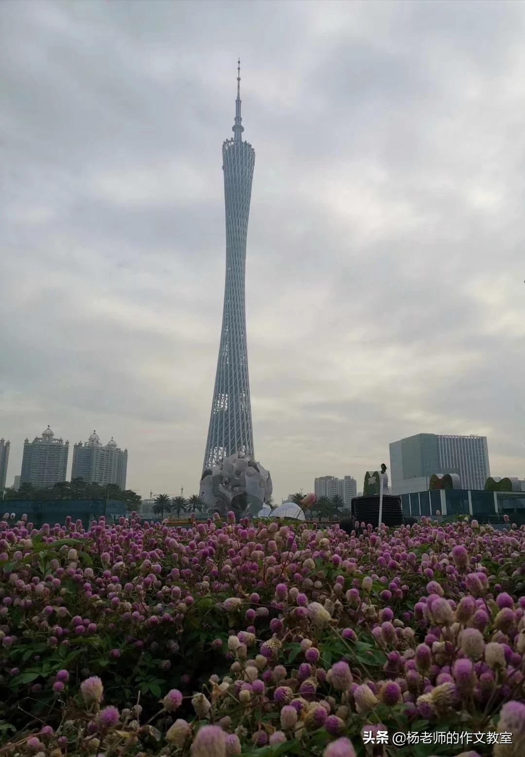 网络手机(oppo网络机是什么手机?) 网络手机(oppo网络机是什么手机?)