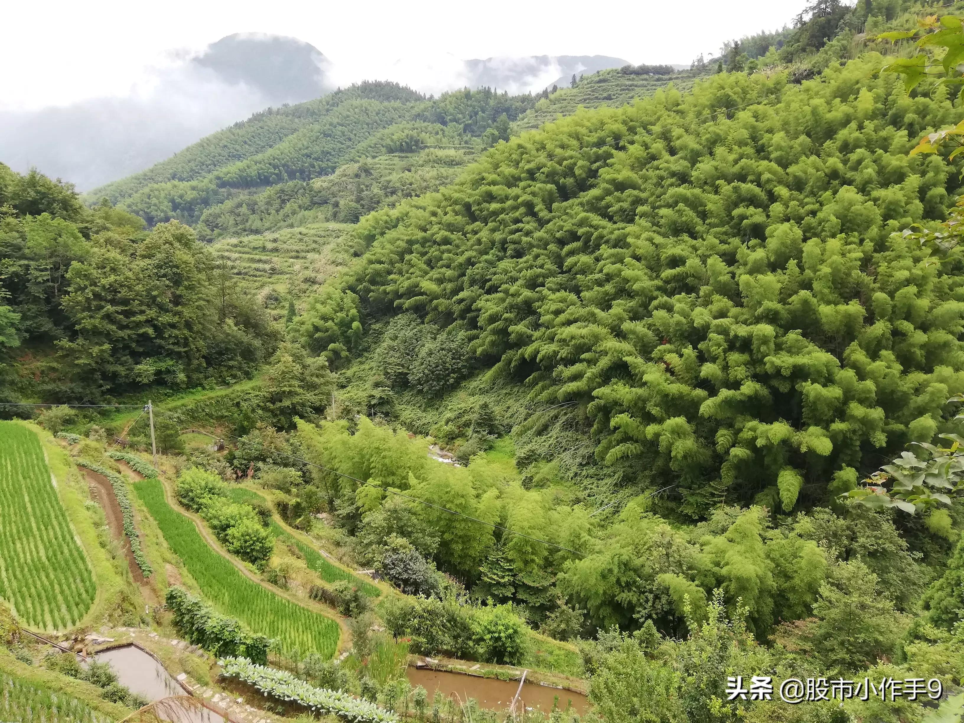 炒股吧app怎么下载?:炒股软件下载 炒股吧app怎么下载?:炒股软件下载