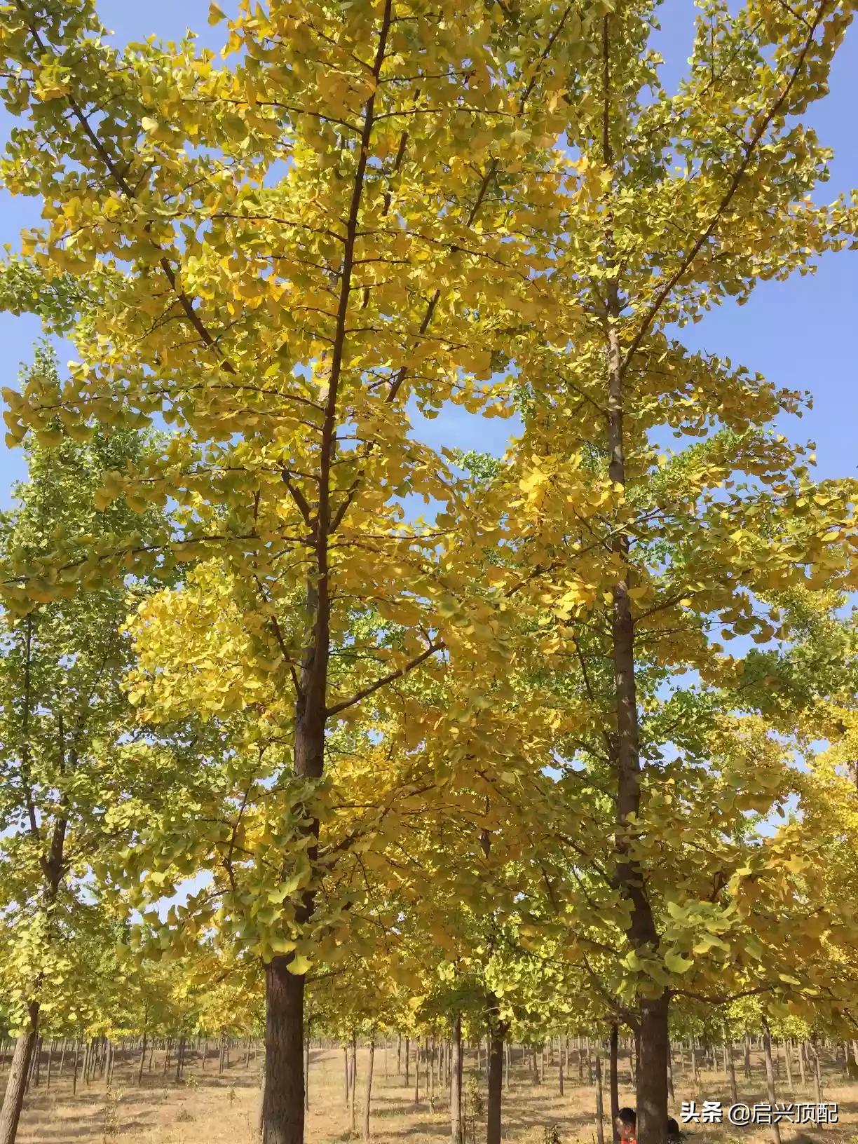 一个男人老是想你怎么回事?:一个人想你 一个男人老是想你怎么回事?:一个人想你