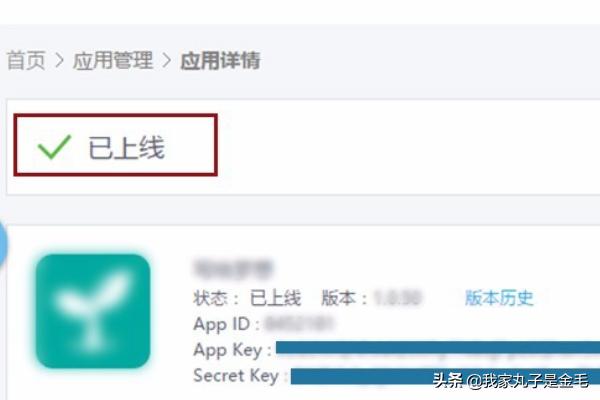 开发app如何发布
