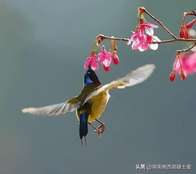 台风“白鹿”或今晚杀到，东莞雷暴加8级大风, 你怎么看？：台风白鹿已生成