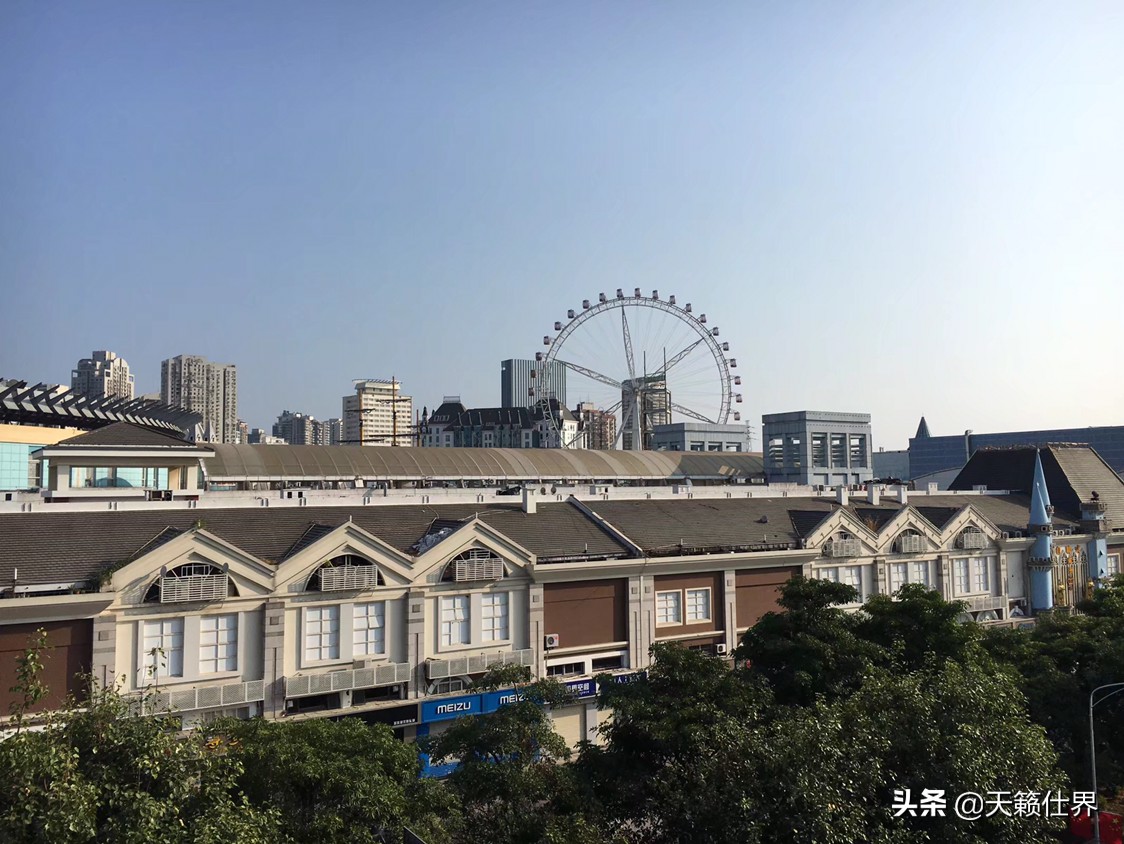 厦门注册公司有什么优惠政策？大学生刚毕业，想开一家IT公司，帮人做网站？