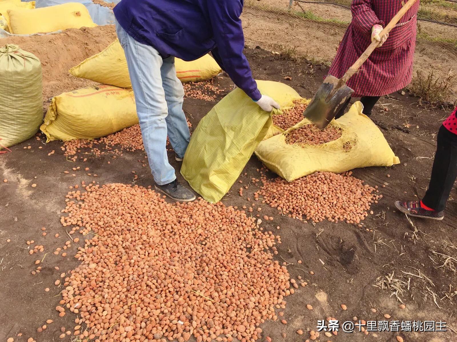 汽车报价前途,汽车报价前途怎么样