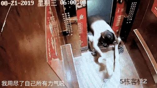 重庆美妆护肤好物
