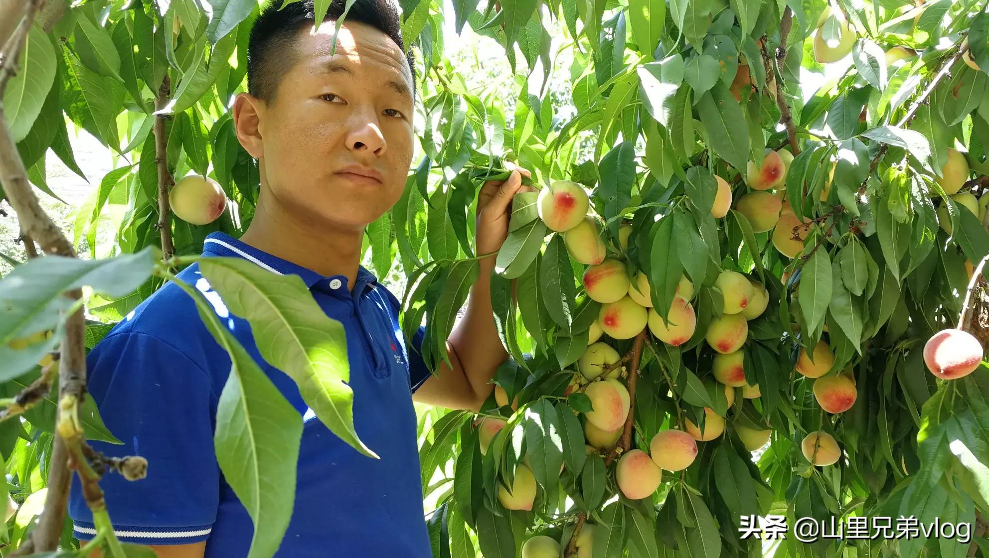 汽车报价前途,汽车报价前途怎么样