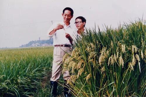 长沙市荣誉警察代表什么