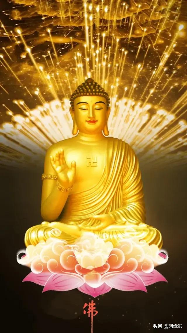救溺水一家三口牺牲（一家4口坠入黄河事件后续，落水原因被曝光，落水者家属发声！你如何评价？）