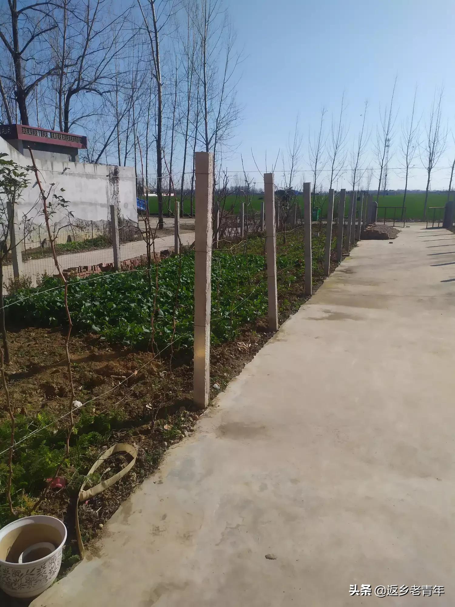 武汉市徐东馨苑是什么区