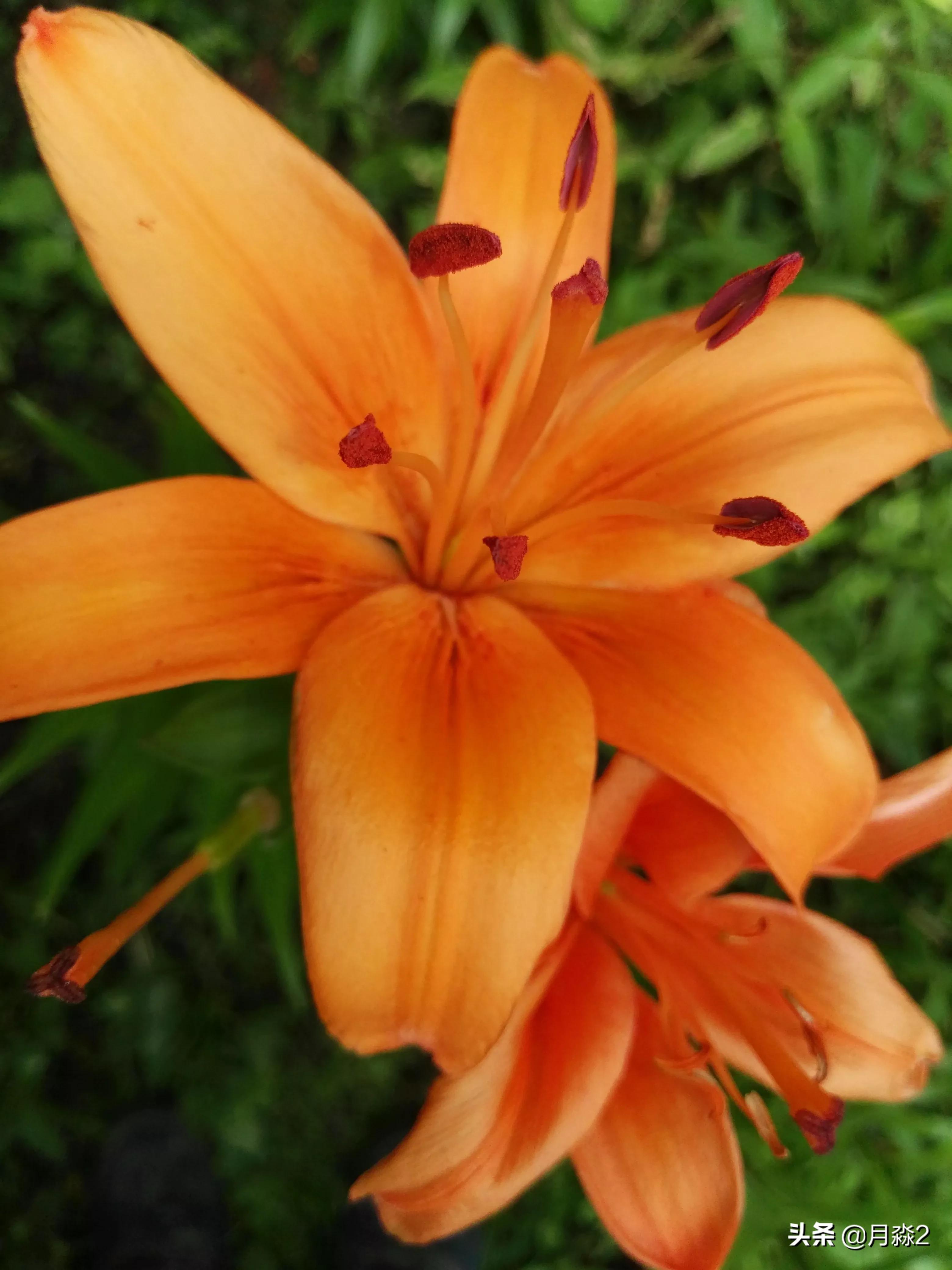 女孩喜欢什么女孩喜欢什么礼物