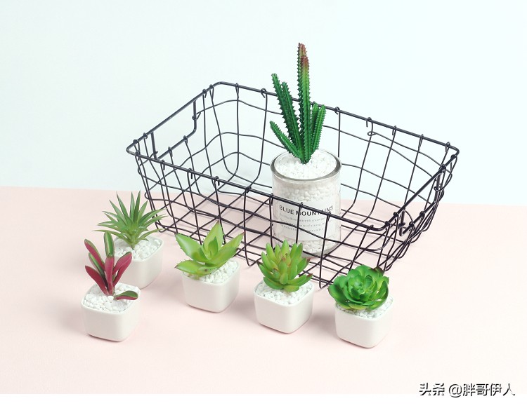 电子仪器搭建网站服务