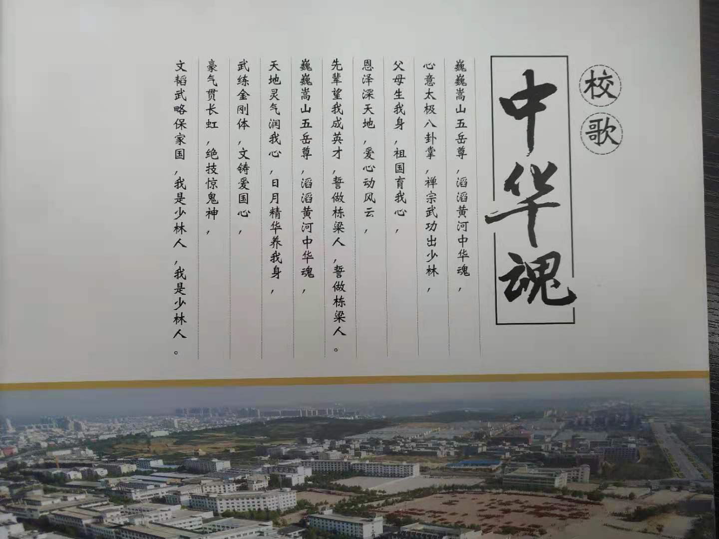 河南塔沟武校在全国武校属于什么水平？
