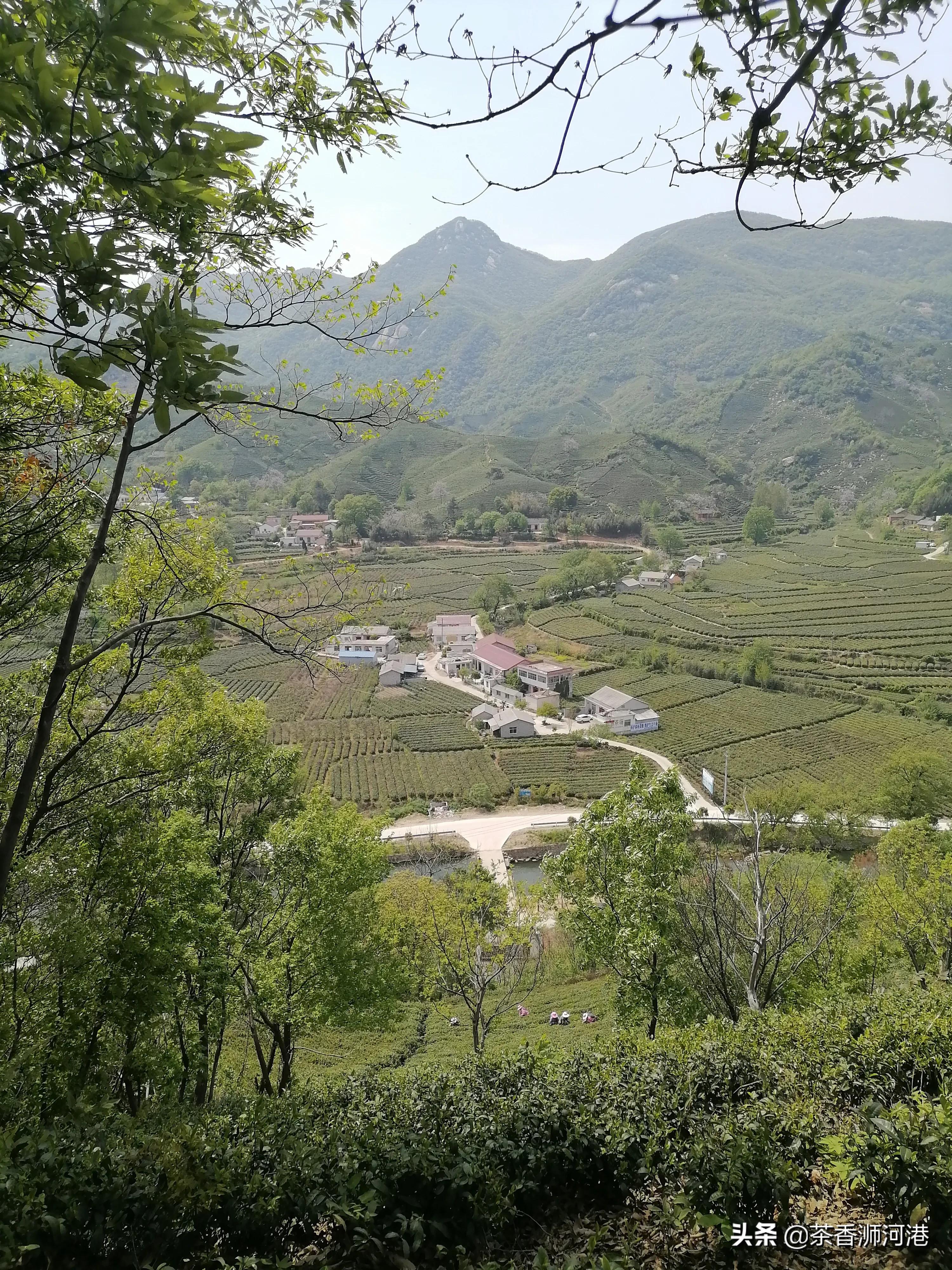 河南哪个村买房好点
