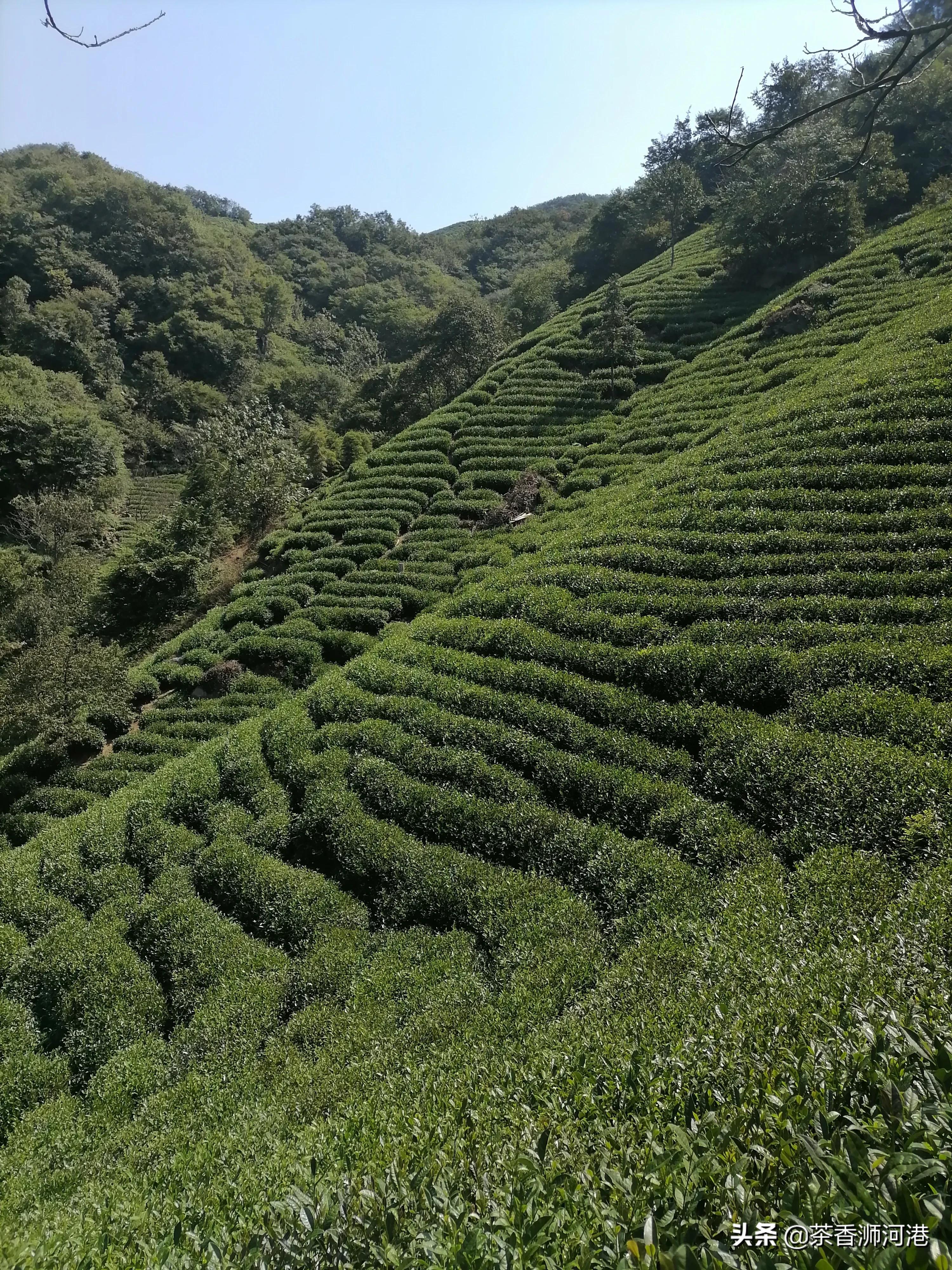 河南哪个村买房好点