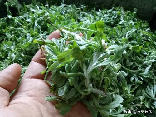 珠海美食商城app开发