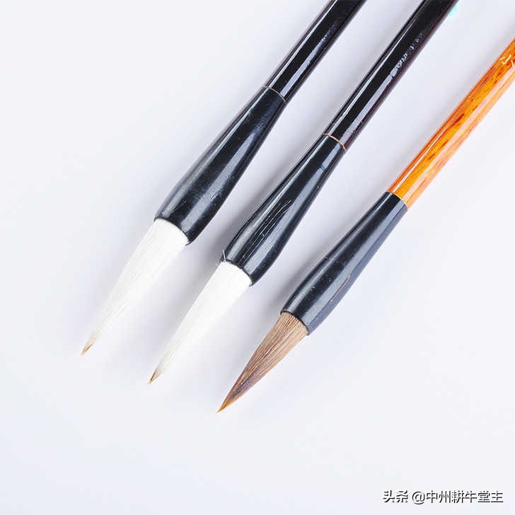 正楷带点草书字体怎么写
